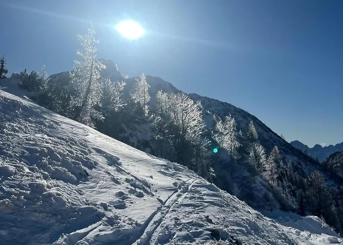 Obermoeschach 10a Obermoschach